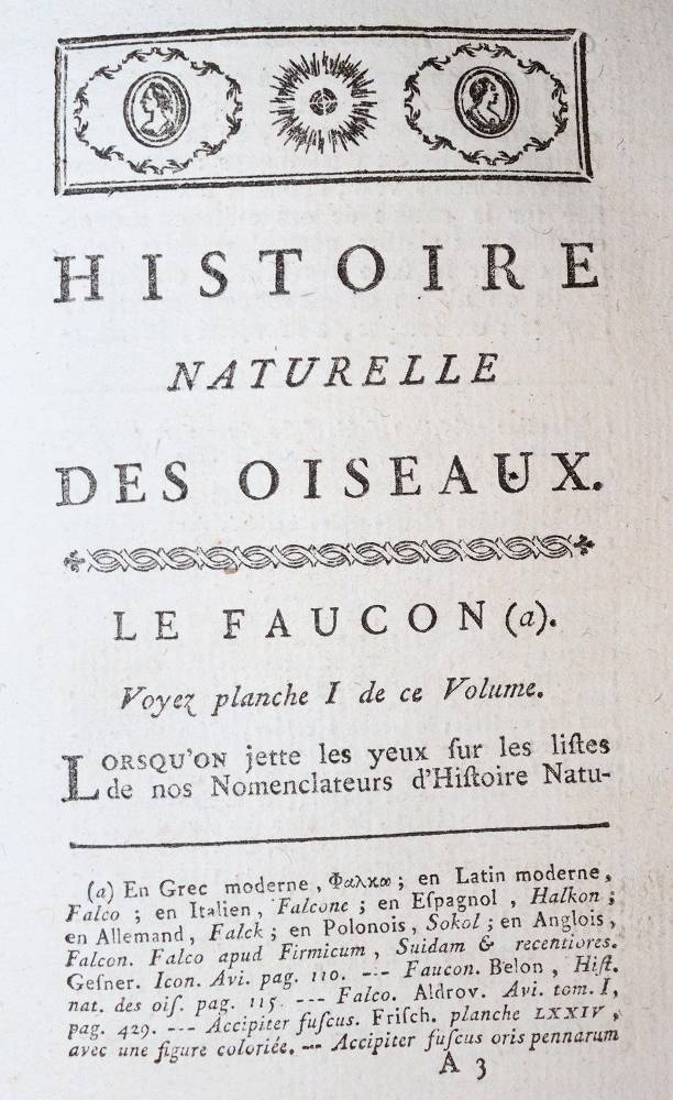 Große Abbildung Nr.6: 138-1765 Buffon,(G.L.L.)de.: (Zoologie)