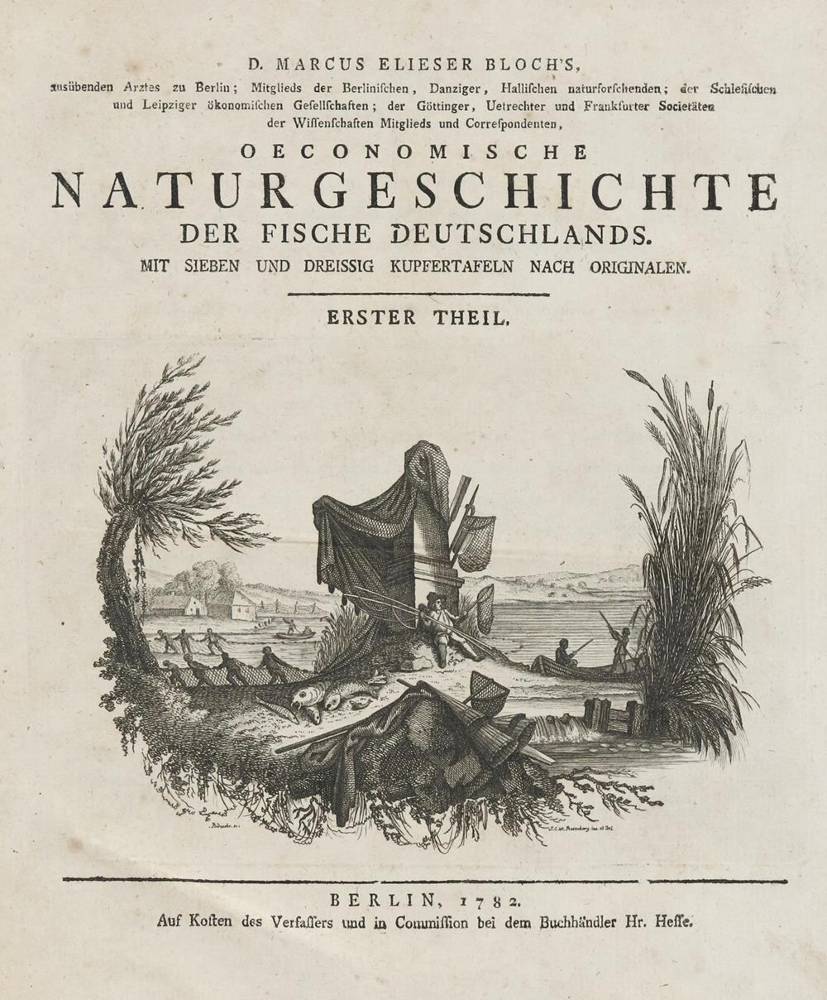 Große Abbildung Nr.7: 138-1768 Bloch,M.E.: (Zoologie, Fische)