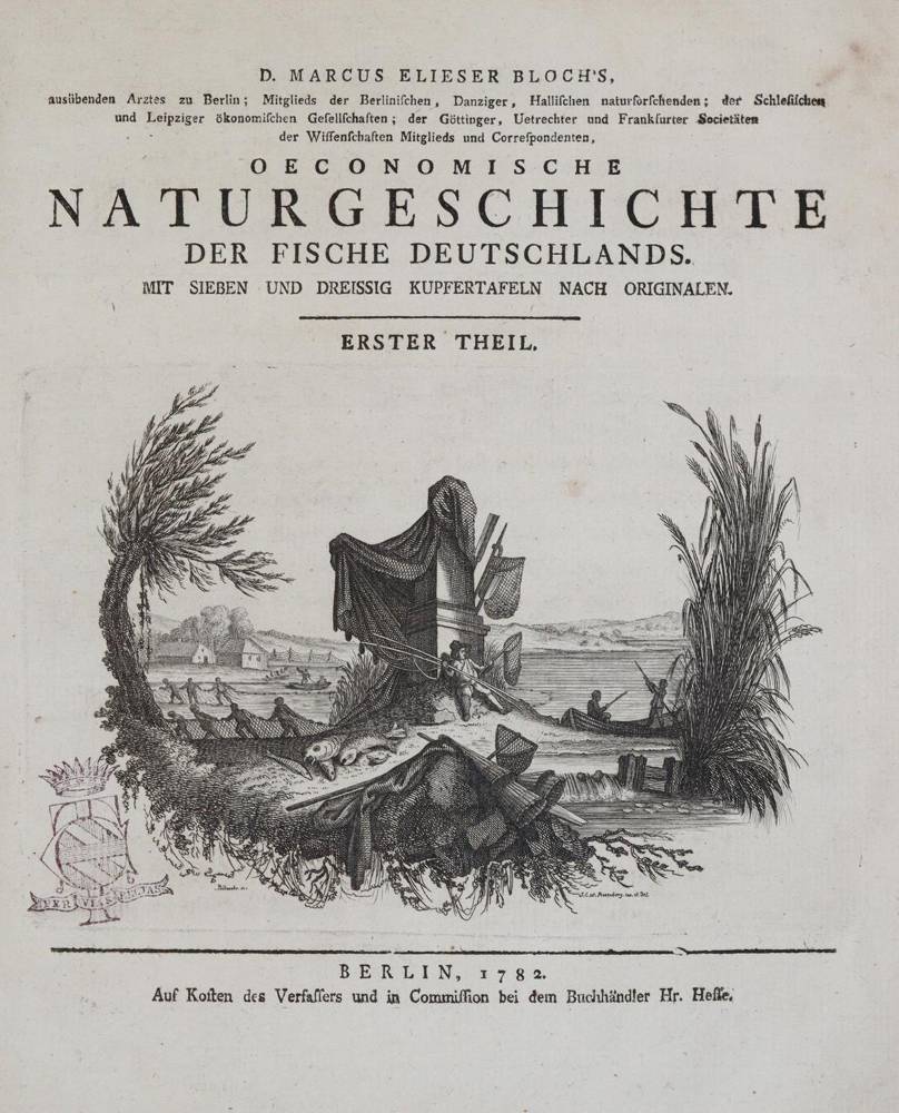 Große Abbildung Nr.1: 138-1769 Bloch,M.E.: (Zoologie, Fische)