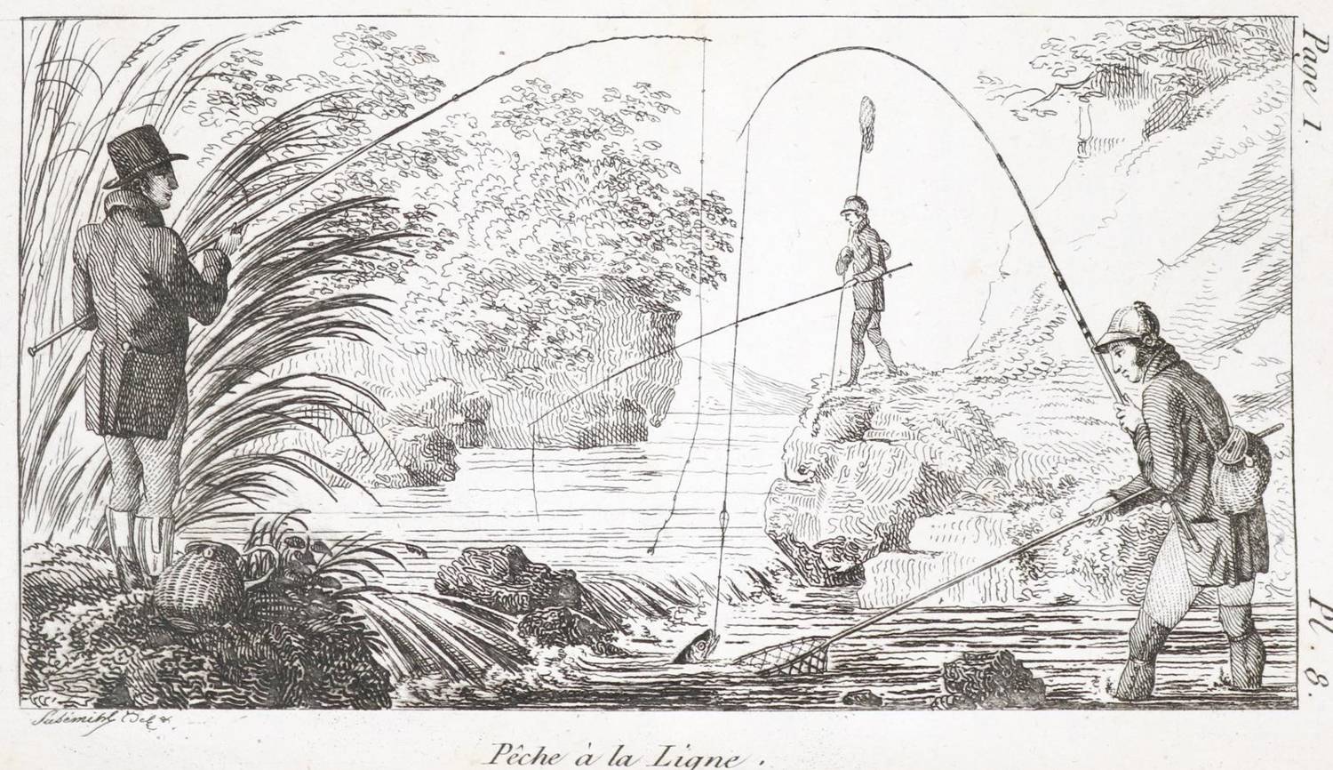 Große Abbildung Nr.1: 138-1771 Kresz,A.: (Zoologie, Fische)
