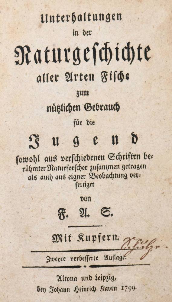 Große Abbildung Nr.2: 138-1772 (Scheuereck),F.A.: (Zoologie, Fische)
