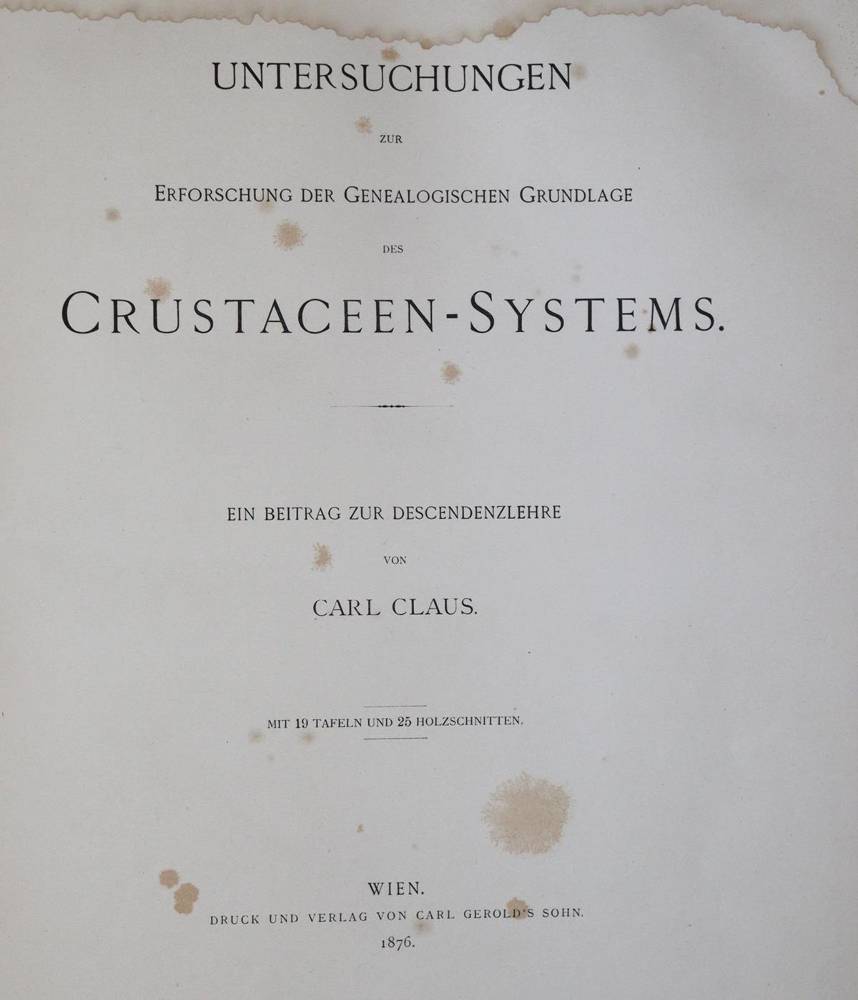 Große Abbildung Nr.3: 138-1781 Claus,C.: (Zoologie, Krebse)