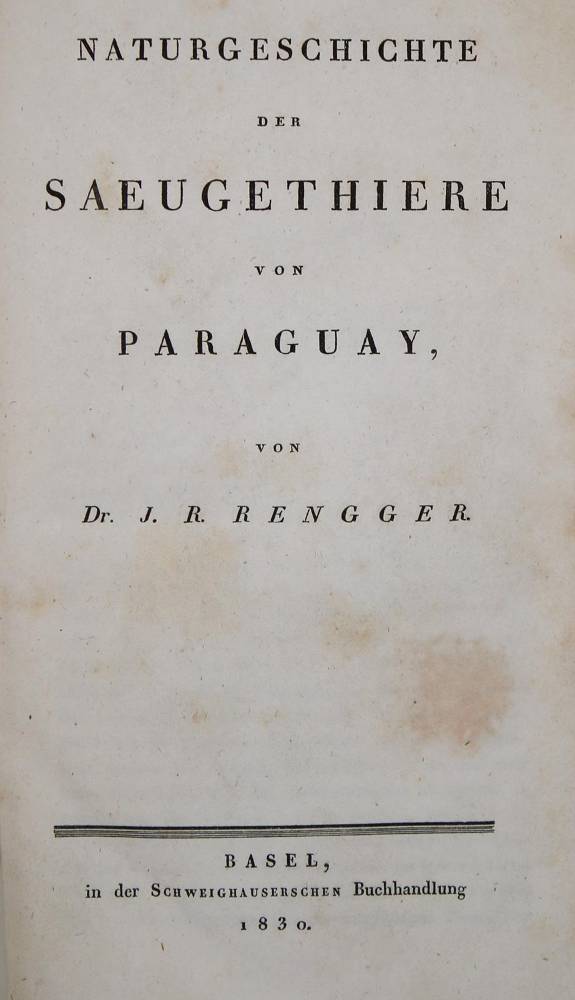Große Abbildung Nr.1: 138-1784 Rengger,J.R.: (Zoologie, Paraguay)
