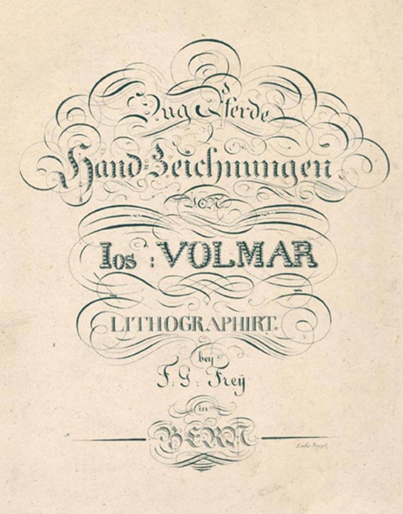 Große Abbildung Nr.1: 138-1790 Volmar, Joseph Simon: (Zoologie, Pferde)