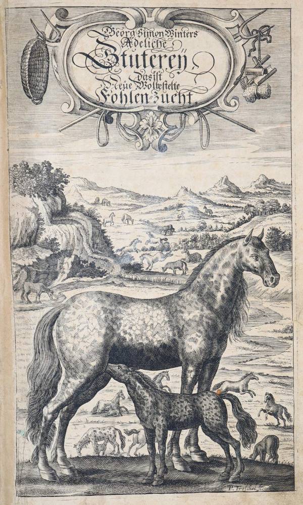 Große Abbildung Nr.2: 138-1792 Winter (von Adlersflügel),G.S.: (Zoologie, Pferde)