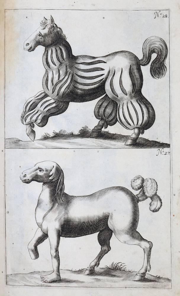 Große Abbildung Nr.4: 138-1792 Winter (von Adlersflügel),G.S.: (Zoologie, Pferde)