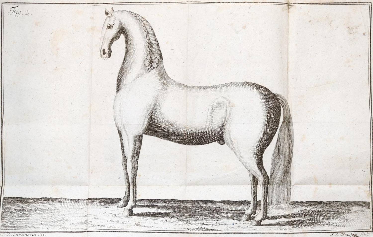 Große Abbildung Nr.1: 138-1793 Zehentner,J.C.: (Zoologie, Pferde)