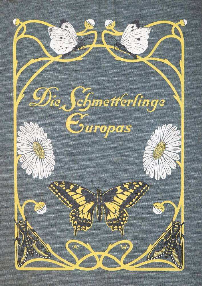 Große Abbildung Nr.1: 138-1800 Spuler,A.: (Zoologie, Schmetterlinge)