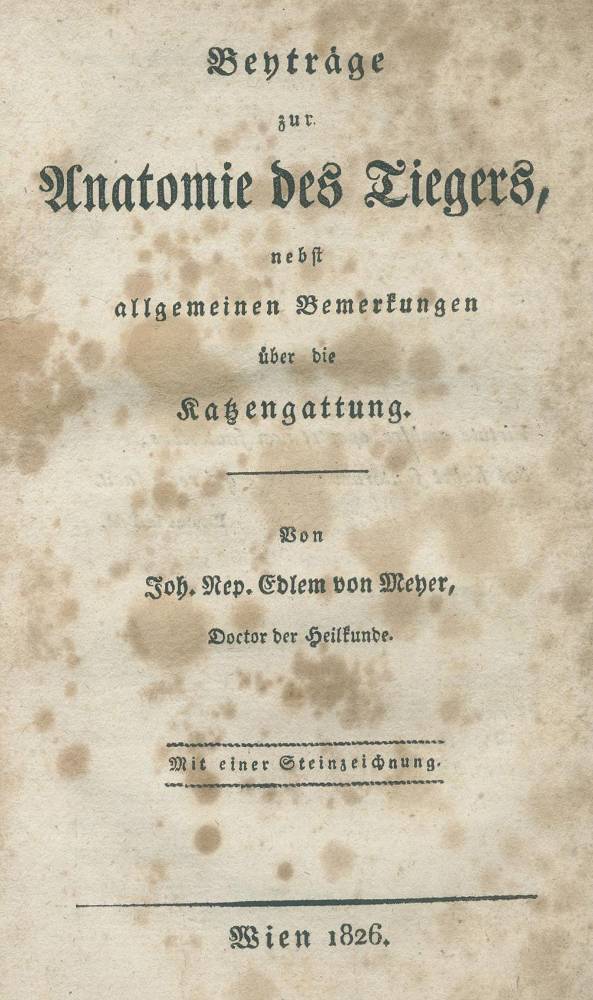 Große Abbildung Nr.1: 138-1804 Beyträge: (Zoologie, Tiger)
