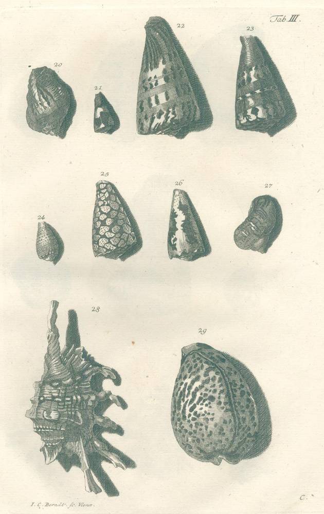Große Abbildung Nr.2: 138-1805 Valentyn,F.: (Zoologie)