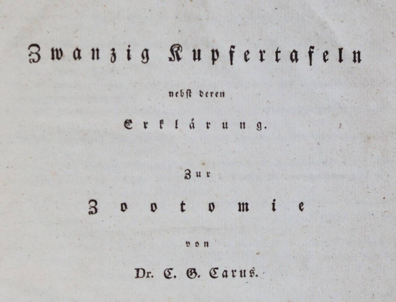 Große Abbildung Nr.1: 138-1817 (Carus,C.G.: (Zoologie, Zootomie)