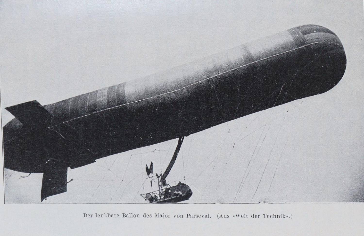 Große Abbildung Nr.1: 138-1891 Hess,C.: (Verschiedene Gebiete - Varia, Botanik)