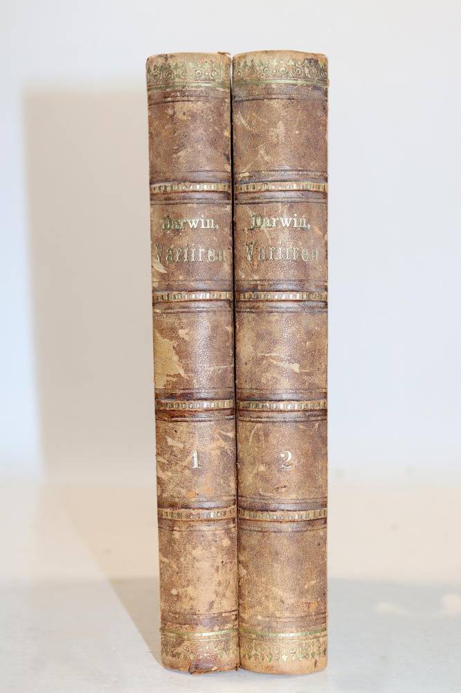 Große Abbildung Nr.3: 138-1904 Darwin,C.: (Verschiedene Gebiete - Varia)