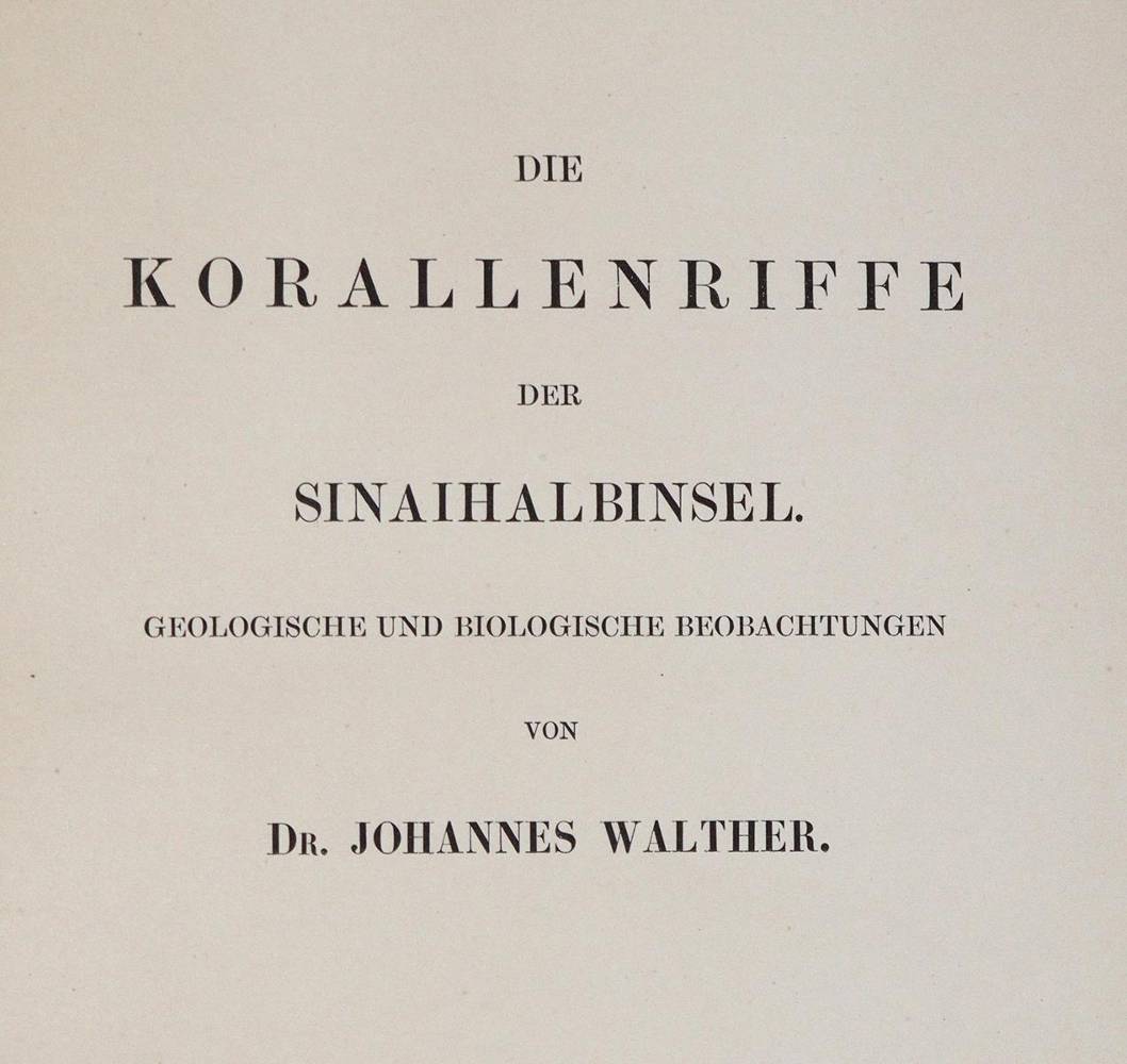 Große Abbildung Nr.4: 138-1957 Walther,J.: (Verschiedene Gebiete - Varia, Geologie - Mineralogie u. Paläontologie)