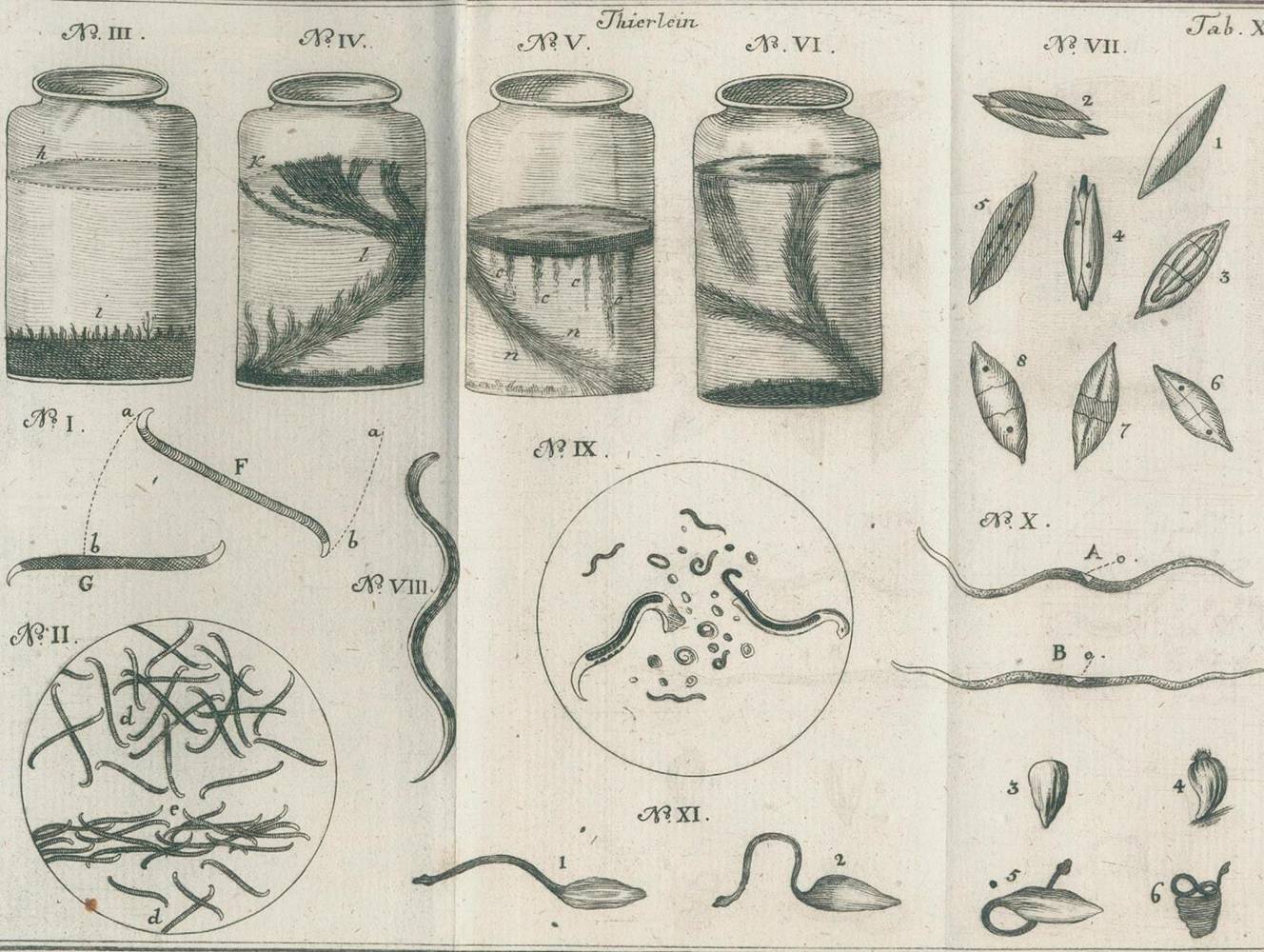 Große Abbildung Nr.3: 138-2031 Baker,H.: (Verschiedene Gebiete - Varia, Mikroskopie)