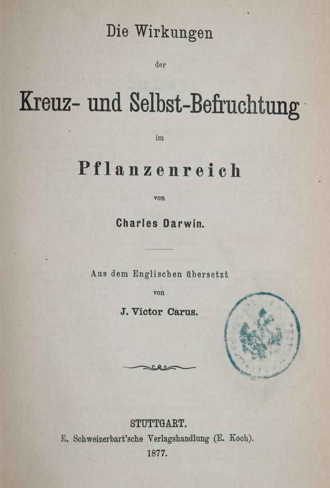 Große Abbildung Nr.1: 138-2054 Sammlung: (Verschiedene Gebiete - Varia)