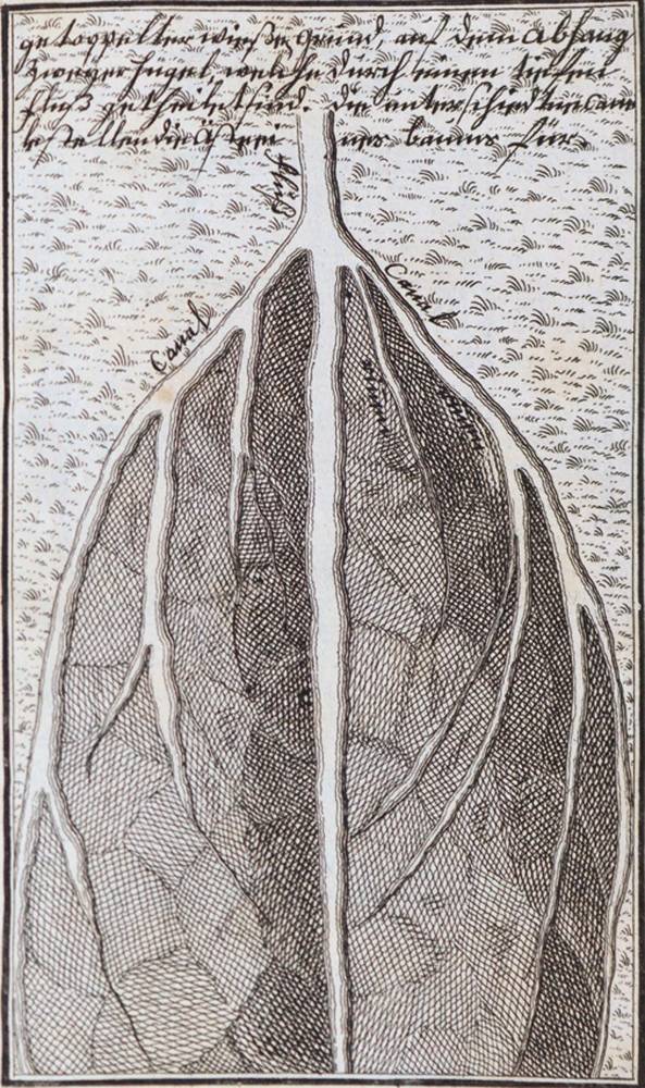 Große Abbildung Nr.2: 138-2079 Bertrand,M.J.: (Verschiedene Gebiete - Varia, Wasserbau)