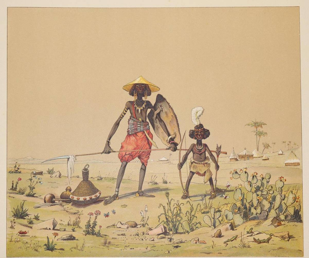 Große Abbildung Nr.3: 138-2110 Volkmann,H.v.: (Afrika)