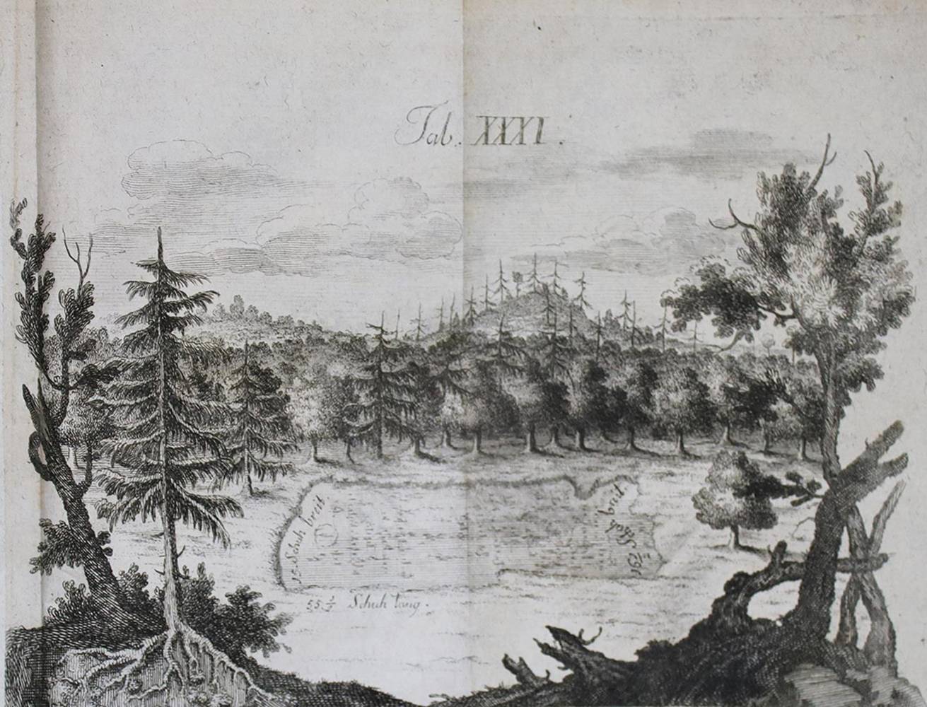 Große Abbildung Nr.2: 138-2393 Sattler,C.F.: (Deutschland, Württemberg)