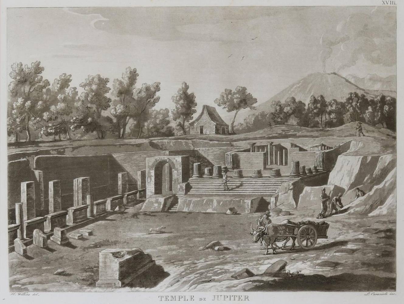Große Abbildung Nr.2: 138-2455 Wilkins,H.: (Italien, Pompeji)
