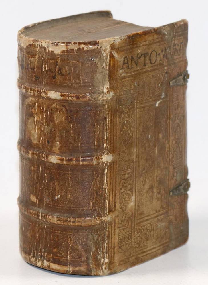 Große Abbildung Nr.10: 138-252 Brasavola,A.M.: (Medizin)
