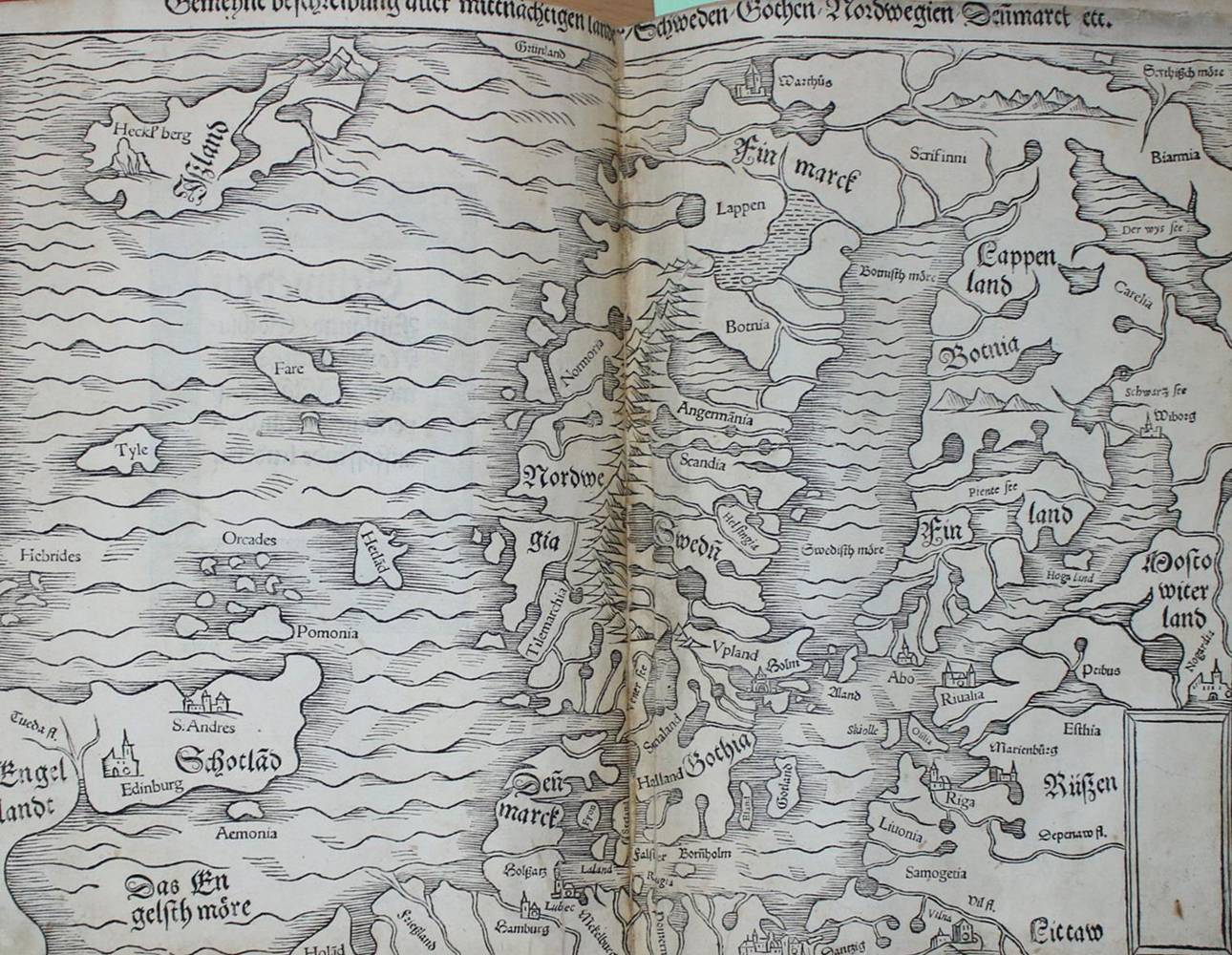 Große Abbildung Nr.2: 138-266 (Münster,S.: (Alte Drucke, Handschriften und Theologie)