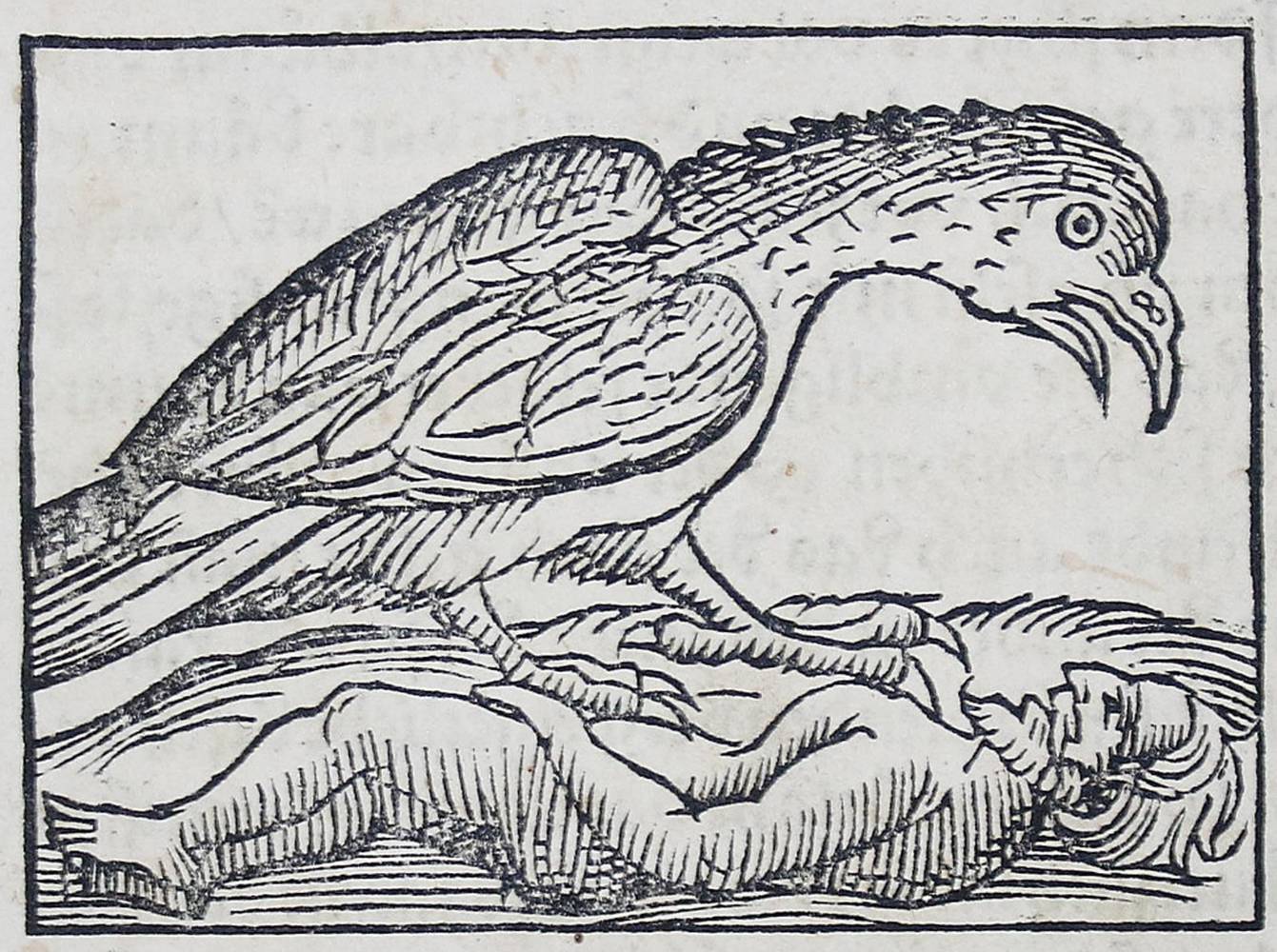 Große Abbildung Nr.4: 138-266 (Münster,S.: (Alte Drucke, Handschriften und Theologie)