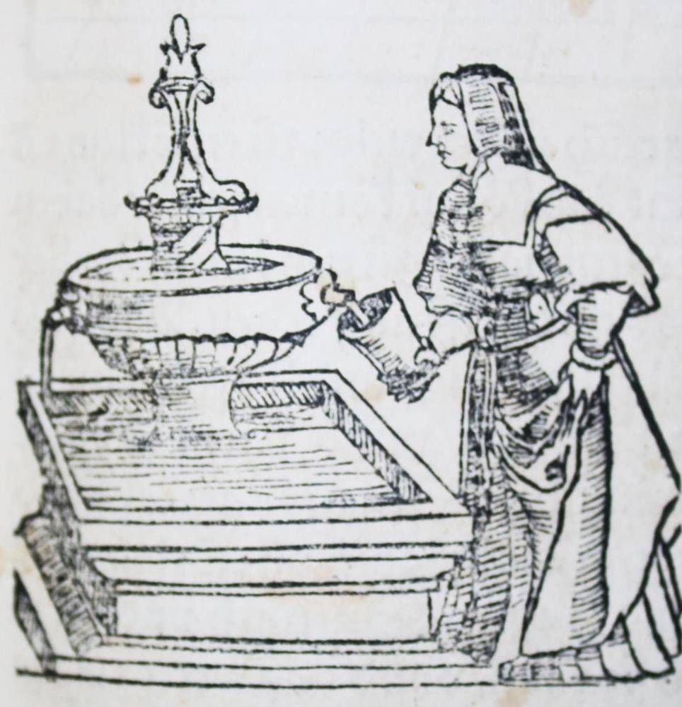 Große Abbildung Nr.5: 138-266 (Münster,S.: (Alte Drucke, Handschriften und Theologie)