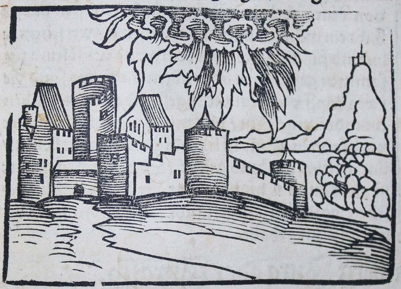 Große Abbildung Nr.6: 138-266 (Münster,S.: (Alte Drucke, Handschriften und Theologie)