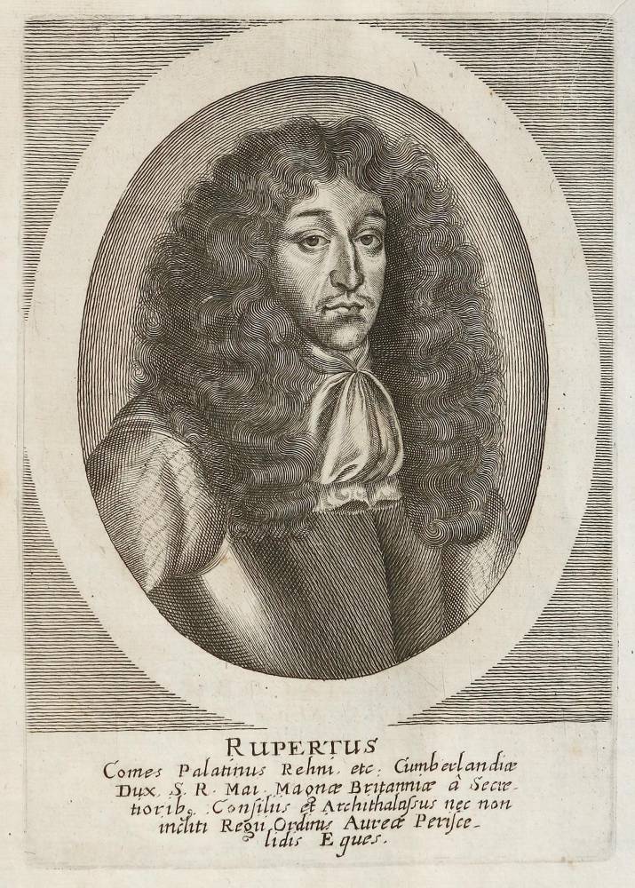 Große Abbildung Nr.4: 138-2677 Merian,M.: (Verschiedene Länder - Geschichte)