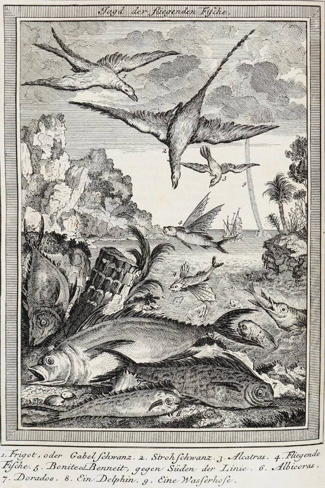Große Abbildung Nr.17: 138-2717 (Schwabe,J.J.).: (Verschiedene Länder - Varia)