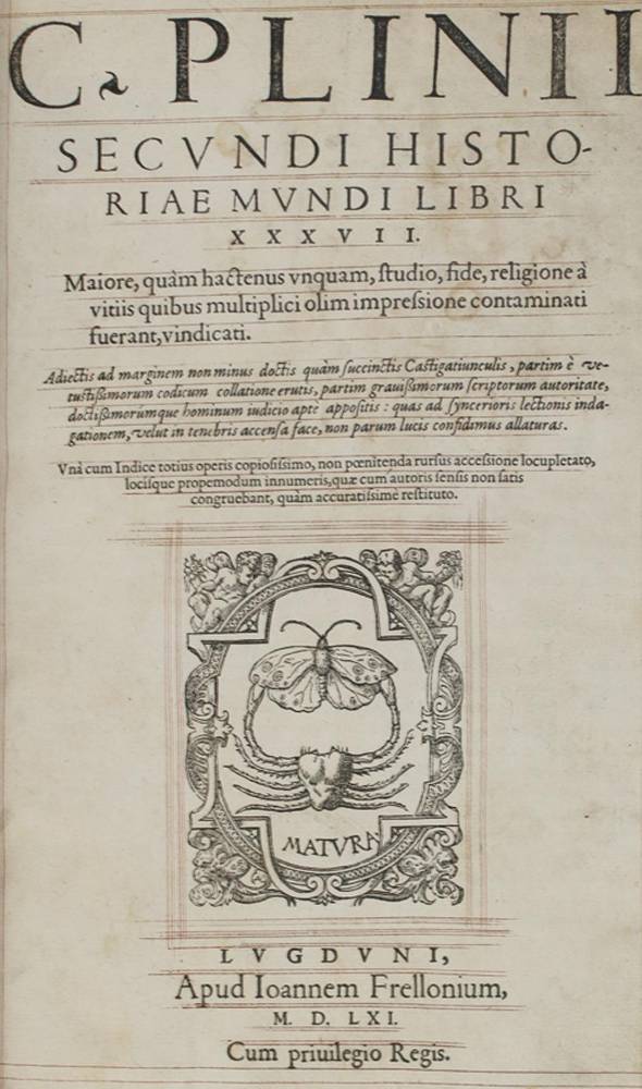 Große Abbildung Nr.1: 138-289 Plinius,C.C.S.: (Alte Drucke, Handschriften und Theologie)