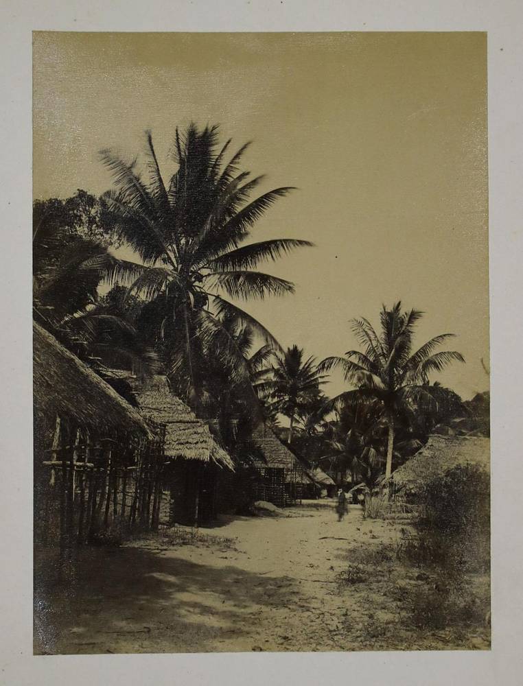 Große Abbildung Nr.2: 138-3244 Afrika.: (Photographie)