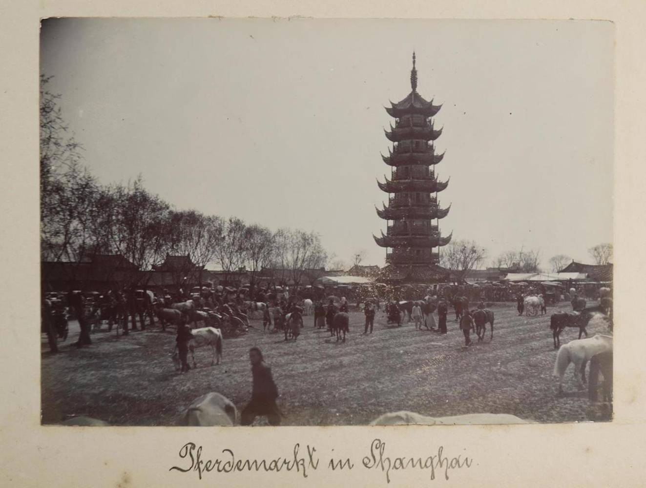 Große Abbildung Nr.8: 138-3253 Photoalbum: (China, SMS Luchs)