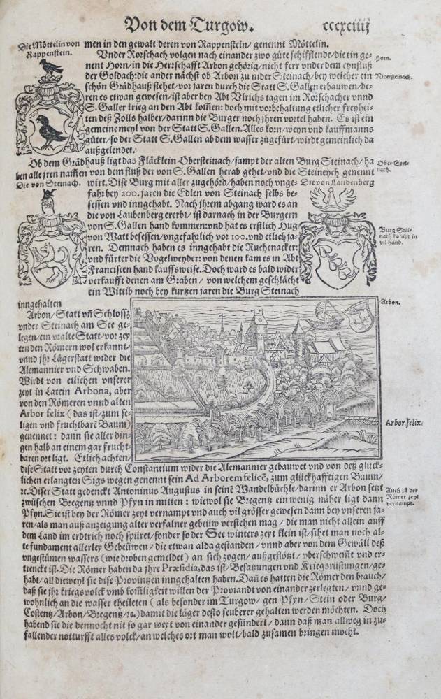Große Abbildung Nr.10: 138-327 Stumpf,J.: (Schweiz)