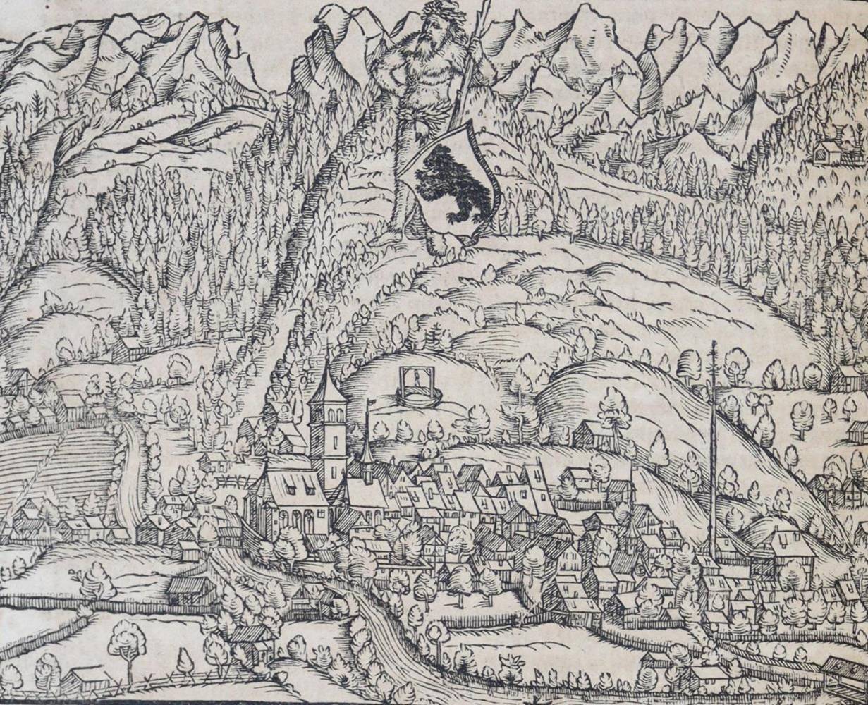 Große Abbildung Nr.11: 138-327 Stumpf,J.: (Schweiz)