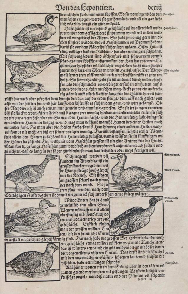 Große Abbildung Nr.17: 138-327 Stumpf,J.: (Schweiz)