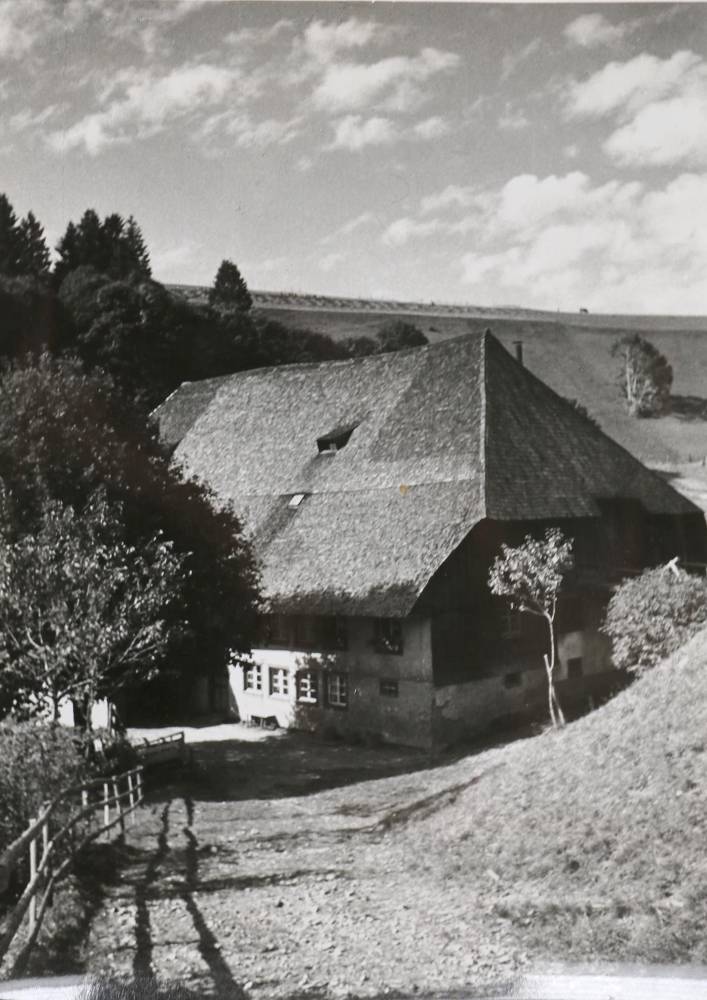 Große Abbildung Nr.2: 138-3273 Billmann, Photo,: (Schwarzwald)