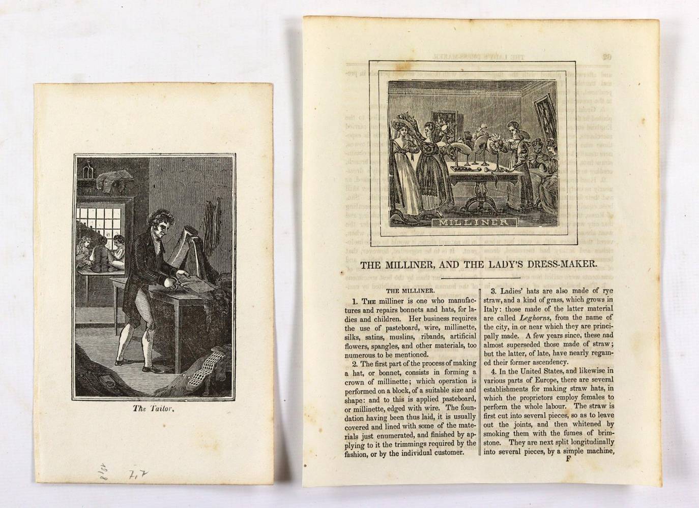 Große Abbildung Nr.2: 138-3313 Schneider.: (Varia, Berufe)