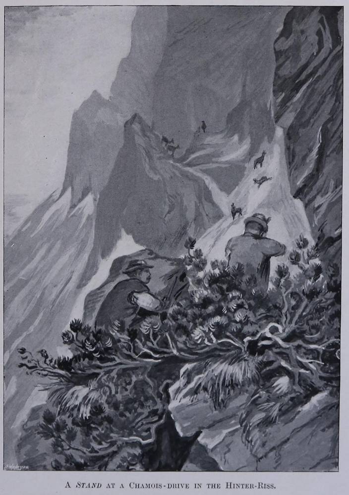 Große Abbildung Nr.3: 138-3362 Konvolut: (Varia, Jagd)