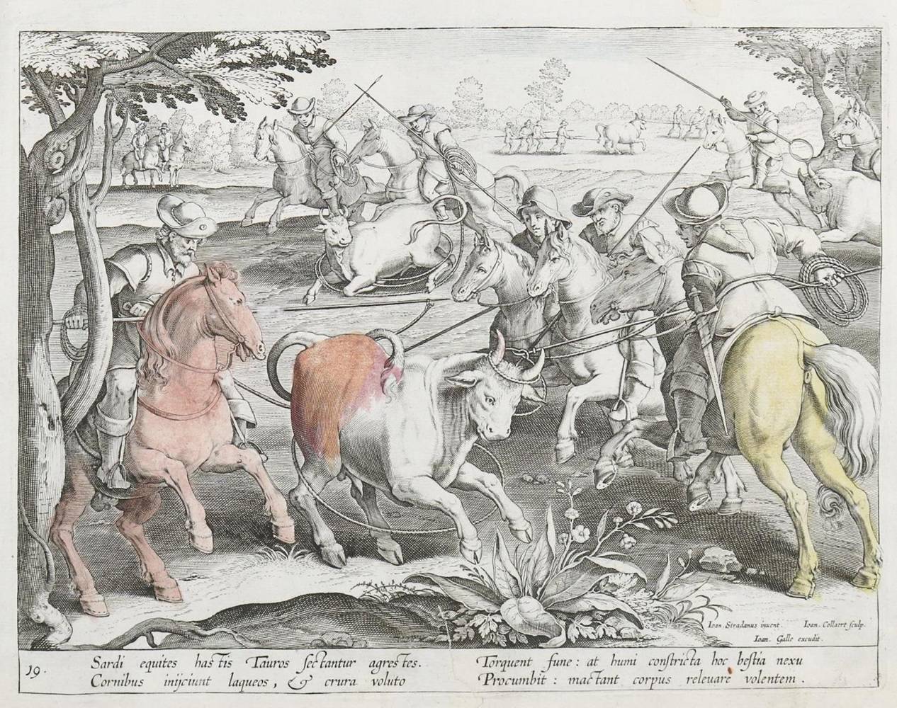 Große Abbildung Nr.21: 138-3363 Stradanus,J.: (Varia, Jagd)