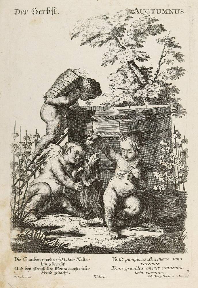 Große Abbildung Nr.3: 138-3364 Jahreszeiten.: (Varia, Jahreszeiten)