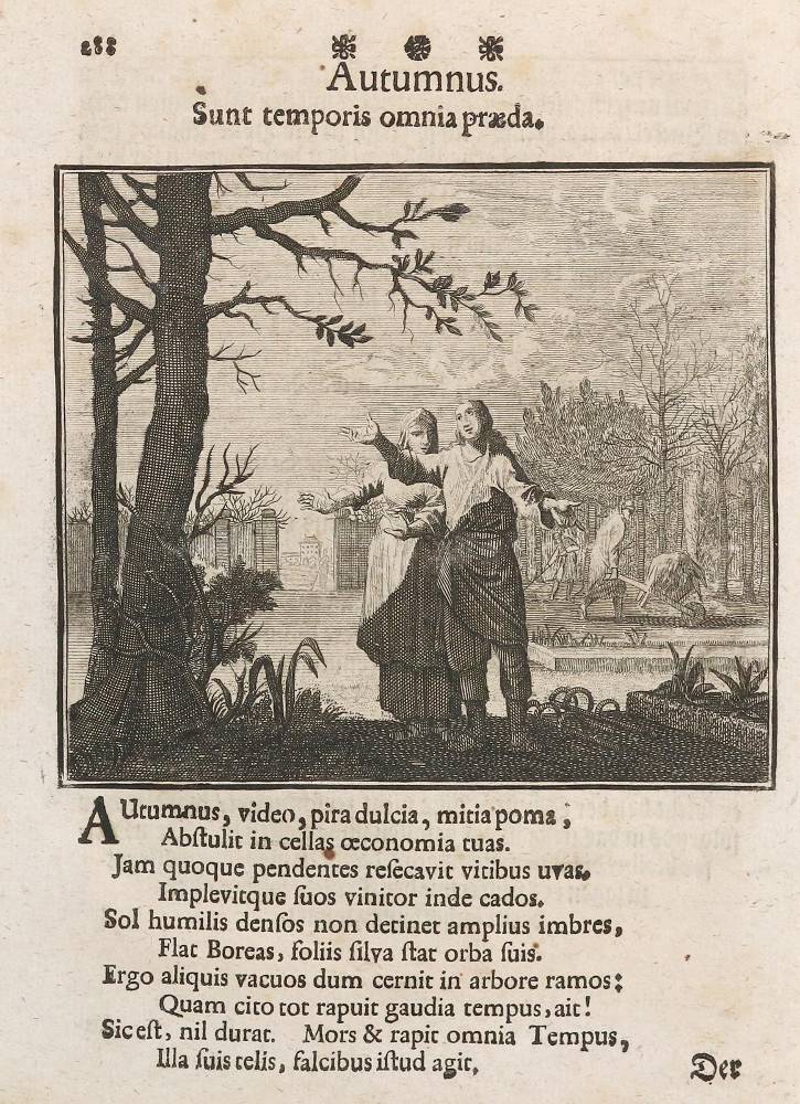Große Abbildung Nr.1: 138-3439 Vier Jahreszeiten - Vier Elemente.: (Varia)