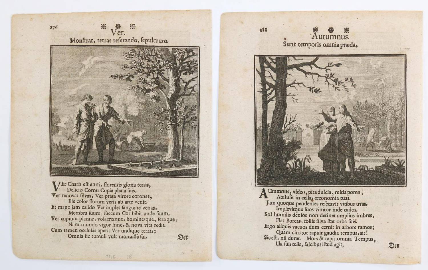 Große Abbildung Nr.2: 138-3439 Vier Jahreszeiten - Vier Elemente.: (Varia)