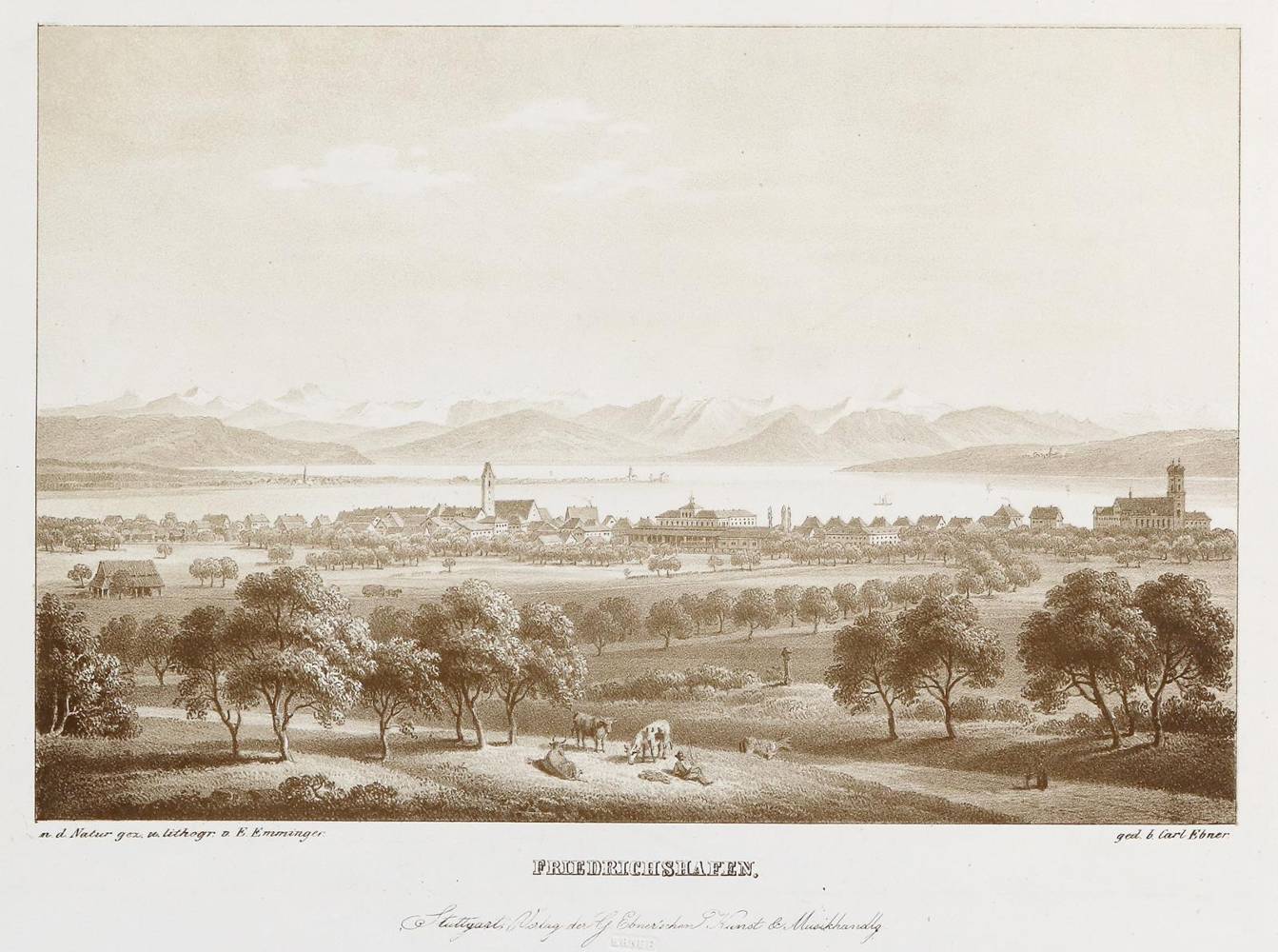 Große Abbildung Nr.1: 138-3484 Friedrichshafen.: (Deutschland)