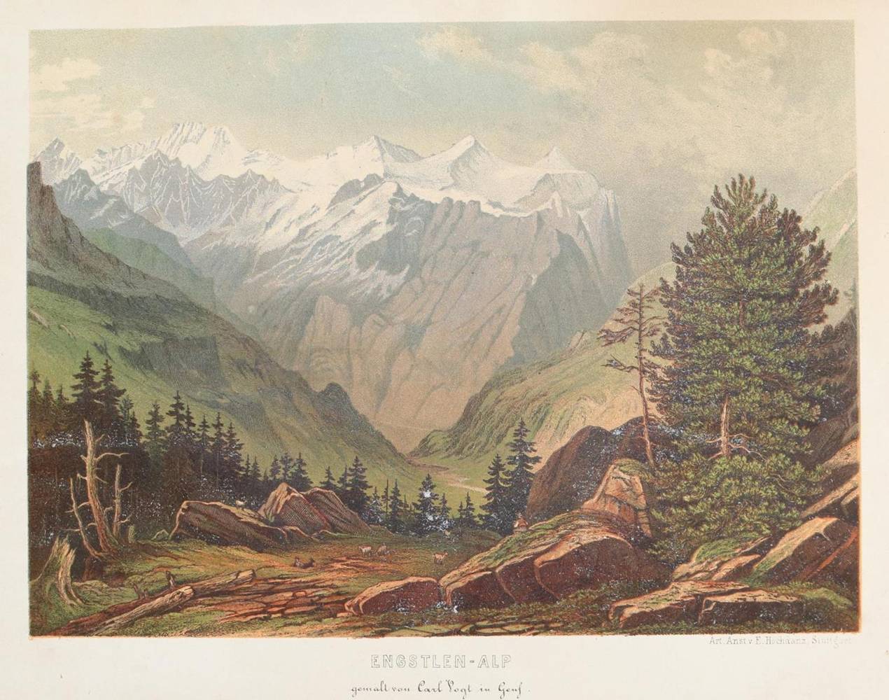 Große Abbildung Nr.3: 138-3686 Konvolut: (Ausland, Schweiz)