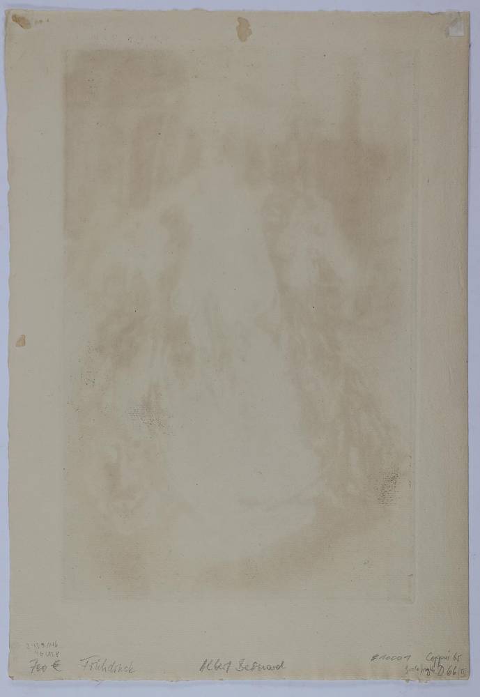 Große Abbildung Nr.2: 138-3768 Besnard, Albert: (Künstlergraphik)