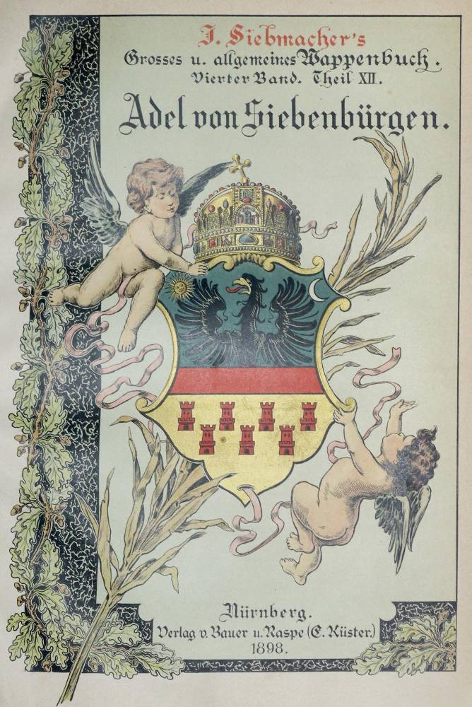 Große Abbildung Nr.1: 138-391 Reichenauer von Reichenau,C. u.a.: (Genealogie und Heraldik, Siebenbürgen)