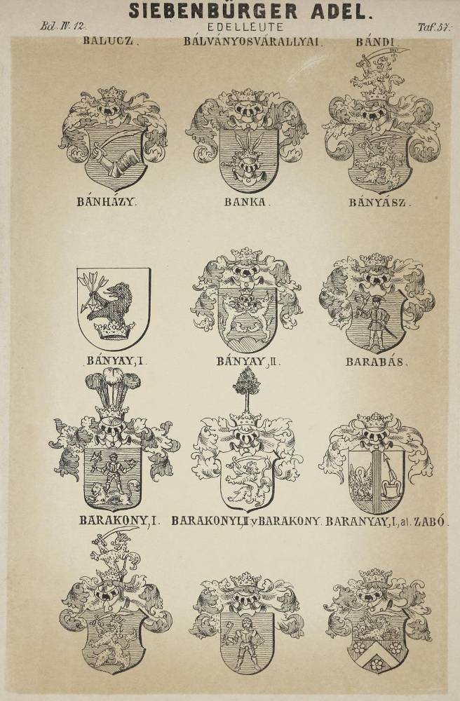Große Abbildung Nr.2: 138-391 Reichenauer von Reichenau,C. u.a.: (Genealogie und Heraldik, Siebenbürgen)