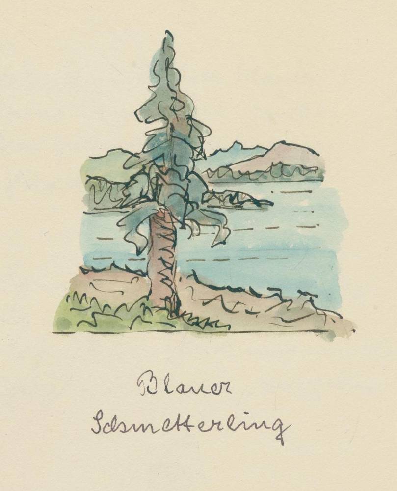 Große Abbildung Nr.3: 138-4000 Hesse, Hermann.: (Künstlergraphik)